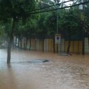 서울양재초등학교 이미지