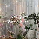 서탄로 | 평택 꿈의미술관 둘째 돌잔치 후기