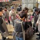 함평군농업기술센터 이미지