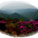 공명목장 이미지