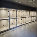 도그다움 이미지