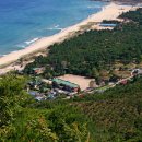 금진초등학교 이미지