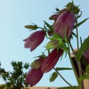 당감초등학교 이미지