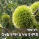 마곡사 야외무대 이미지