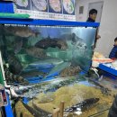 엄마수산 | 노량진 수산시장 방문기! 초장집 중앙식당 후기✨