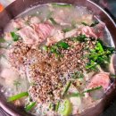 열정통닭 | 생방송 투데이 의정부 제일시장 먹거리 오픈런 맛집 정보 위치 알곤이찜 통닭 순대국 오미야끼