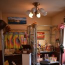 꼬알라파이 이미지