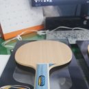 5센소
