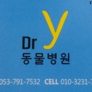와이(y) 동물병원 이미지