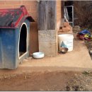 월선농장 이미지