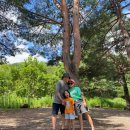 삼척엘림캠핑장 이미지