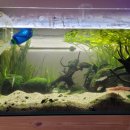 (주)실버쉴드 이미지