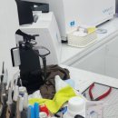 으뜸플러스안경 대구교대명덕점 | 으뜸플러스안경 대구교대명덕점 확실히 저렴한것 같네요.(fead 시력 측정때 친절한 설명 감사!)