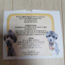 몽쉘꼬몽 | 강아지알러지껌 강아지간식 몽쉘꼬몽 토네이덕츄, 육포바삭이 후기