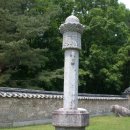 제일사안경원 | '여왕'문정왕후의 태릉泰陵-임금인 아들을 매질한 포악 모후