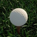 싱글 스크린 골프 이미지