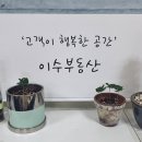 구해줘공인중개사사무소 이미지