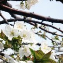 현석농장 이미지