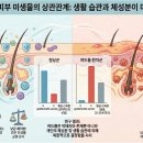 김기영한의원 이미지
