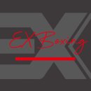 이엑스 복싱(EX BOXING) 이미지