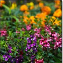 왕숙천변 이미지