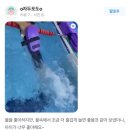 스위밍키즈 태평점 네이버블로그