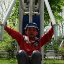 운천초병설유치원 이미지