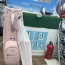 글로리PC | 여성 고반발 골프채 마루망 SG 풀세트 비거리증가 구매 사용후기