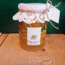 불란지스테이 이미지