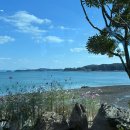 통나무아일랜드 | [태안 아일랜드 리솜]아일랜드 리솜 돌전 아기들이랑 1박2일 여행 후기 | 일루글루 | 꽃지해수욕장...