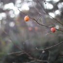 하남시종합사회복지관(1층) | 담장 너머 세상을 울리다. 하남마을 하모니! 2024. 11. 26.(화) 16:00 하남종합사회복지관 1층