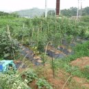 연성농장 이미지