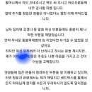 유튜버 마테 조부모님 집에 마고를 보러 찾아갔다던 여성시대 회원 사과문 이미지