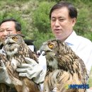 강원대학교 야생동물구조센터 이미지