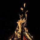 수목원캠핑장 | 남양주 힐링별밤수목원 캠핑장 후기｜불멍과 웃음이 가득했던 힐링의 밤