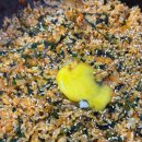 진미추어탕 이미지