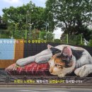 소다코인노래연습장 이미지