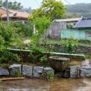 임마누엘 민박 이미지