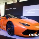 동해-단속-50 이미지