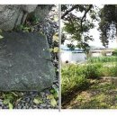 양성 석조여래입상 이미지