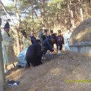 계술재 Daum카페
