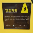 영주초등학교 정문 네이버블로그