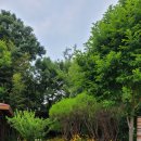 춘향테마파크 이미지