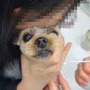 부천종합동물병원 이미지