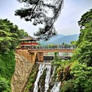 의림지-04 이미지