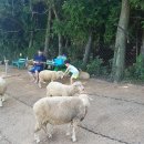 동현목장 이미지