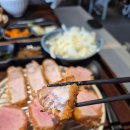 카츠헤세드