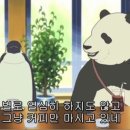 더머커피상도점