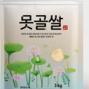 유한회사 신선