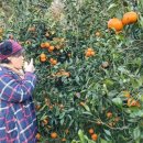 은파농장 이미지